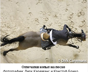 Лошадь с босыми копытами: здоровье с самого начала