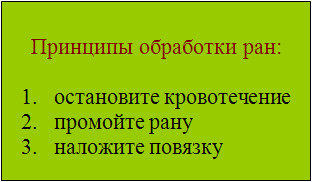 Экстренная доврачебная помощь лошади