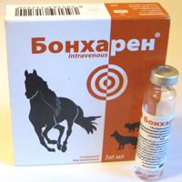 Лечение суставов лошади в ветеринарии
