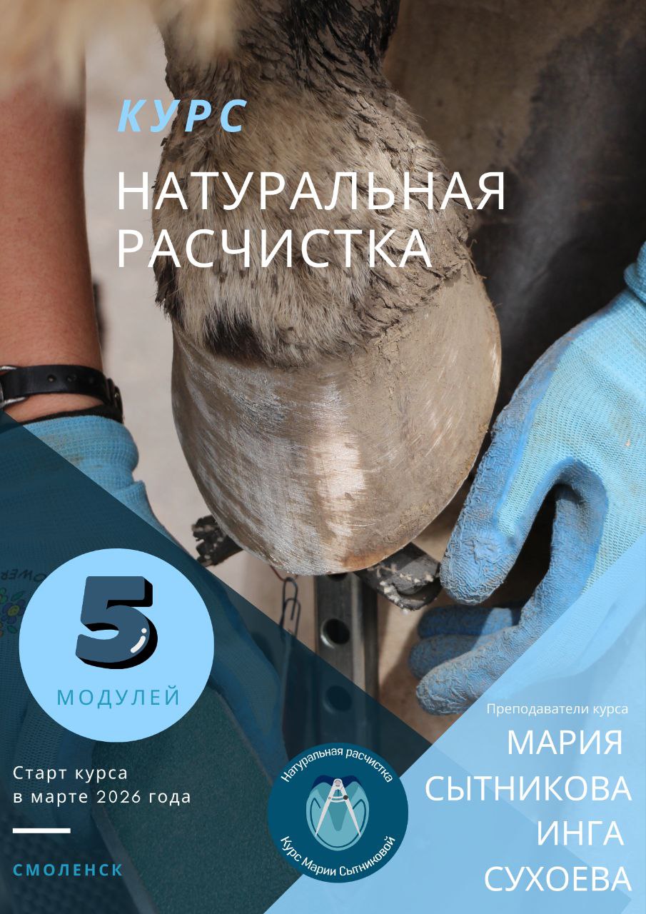 photo_2026-01-27_13-38-31