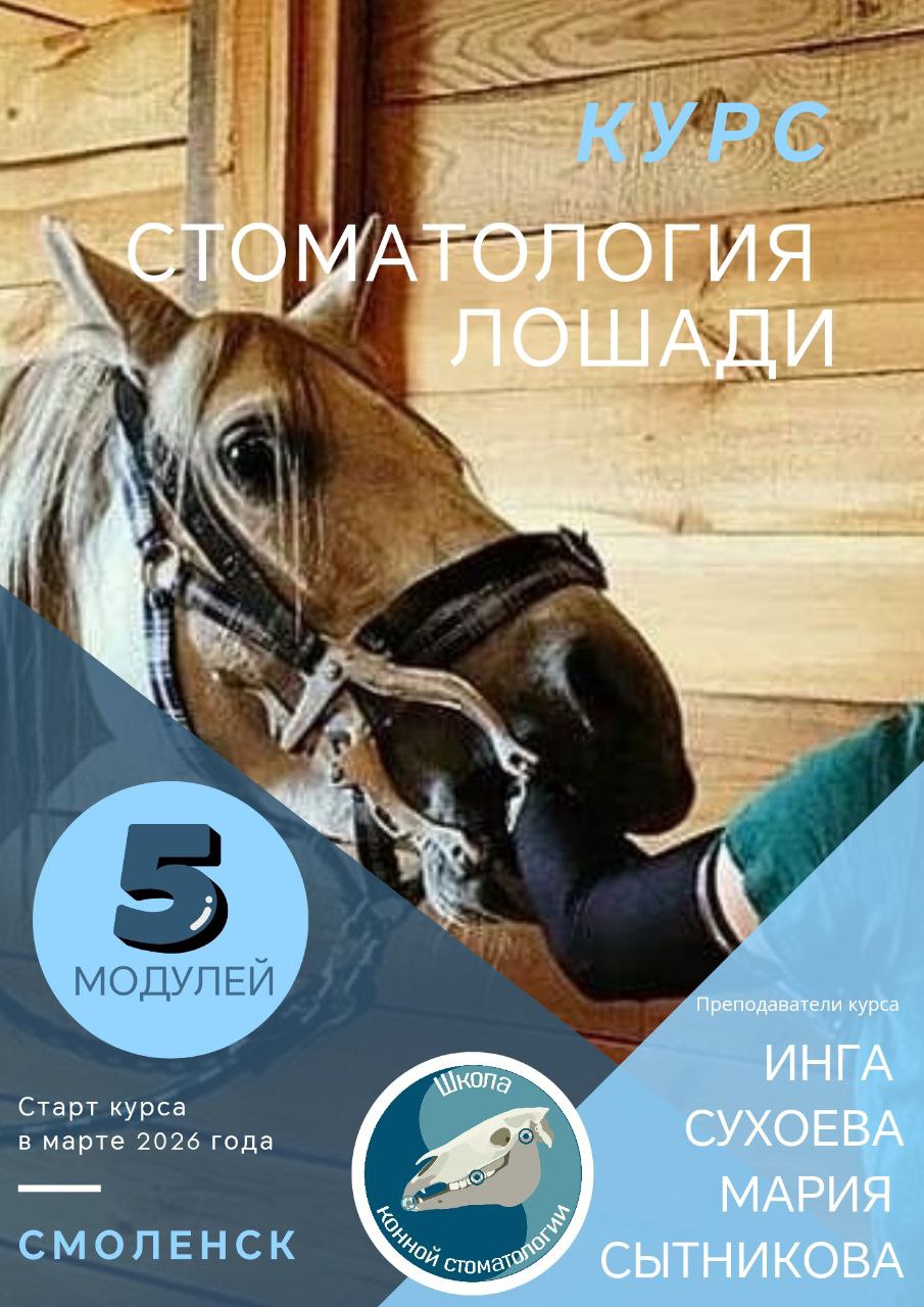 photo_2026-01-27_13-39-59