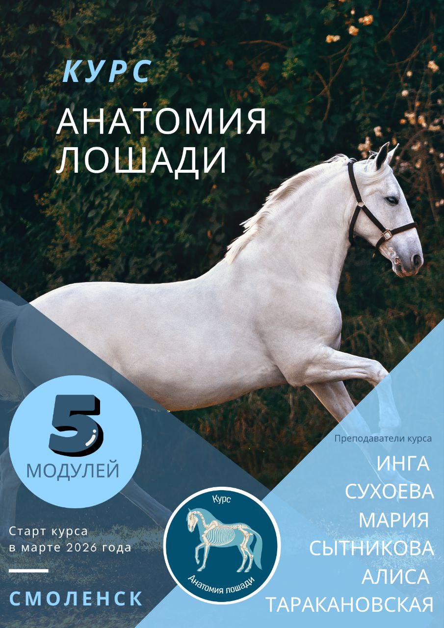 photo_2026-01-27_13-40-46